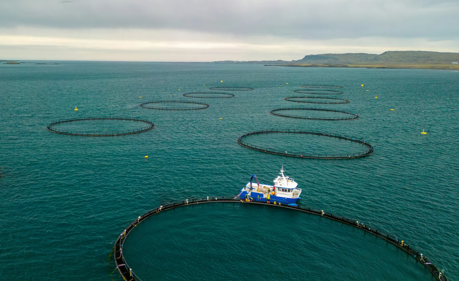Aquaculture pens off the New Zealand coast