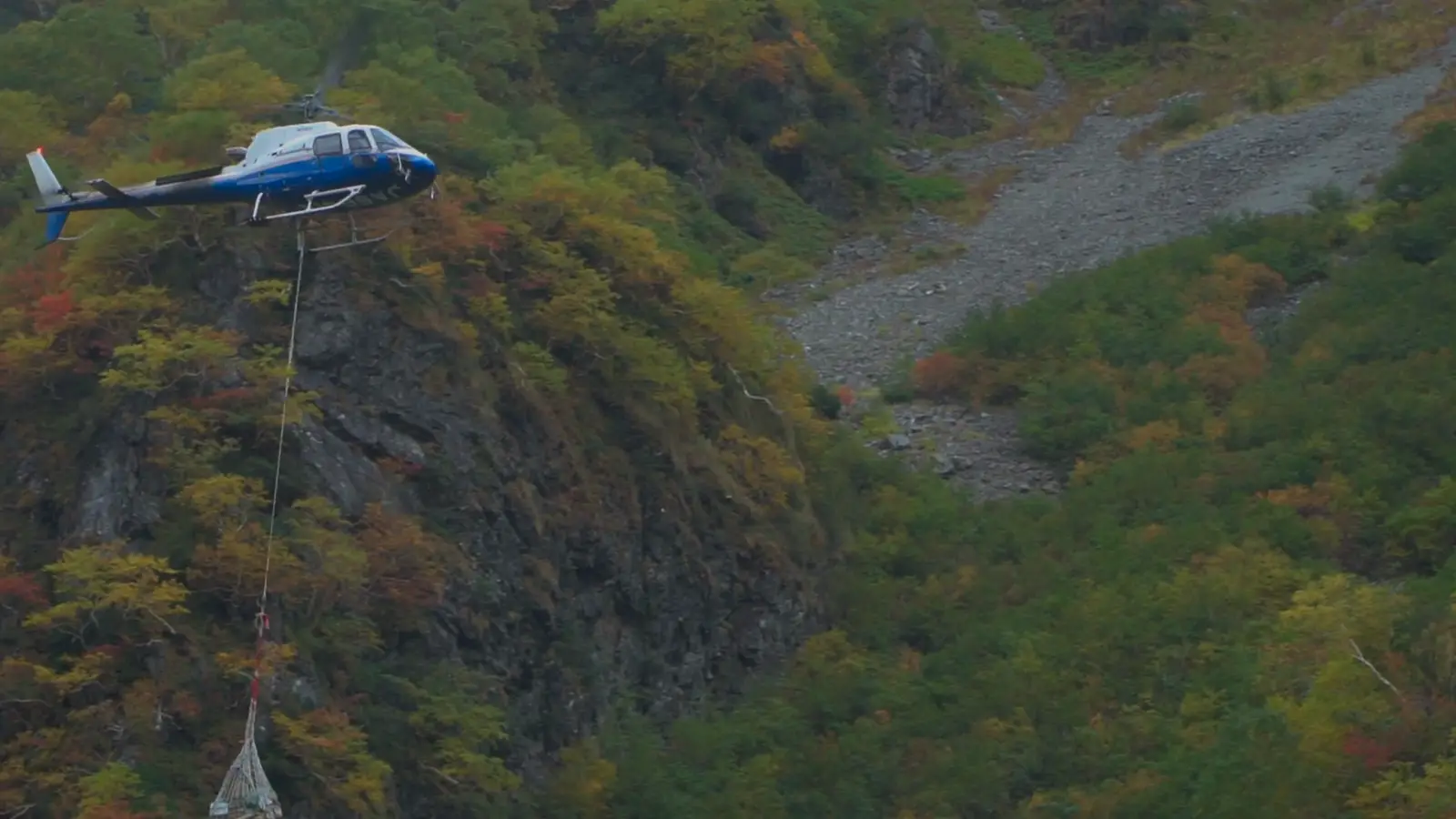 Aviation Auditor — aviation safety management training